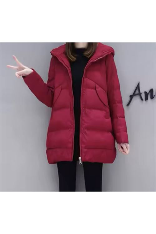 ملابس نسائية شتوية قمصلة